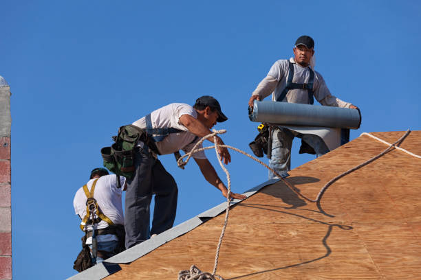 Best Metal Roofing Contractor  in Lake Alfred, FL