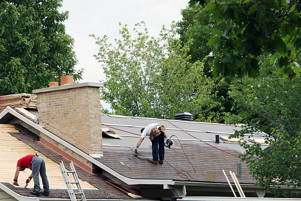 Quick and Trustworthy Emergency Roof Repair Services in Lake Alfred, FL