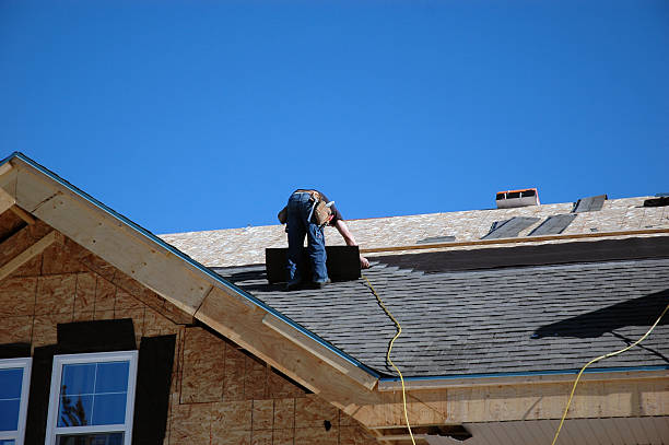 Best Shingle Roofing Installation  in Lake Alfred, FL